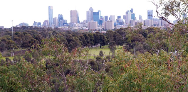Carries out higher-density urban area development leave behind municipal woodlands out on an arm or leg?