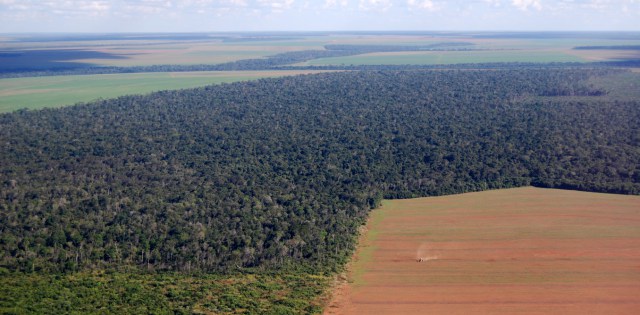 South america’s prospering soy products market intimidates its woods in addition to around the world temperature targets